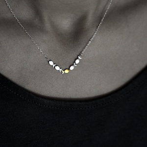 May include: A silver necklace with a row of small silver fish charms, with a single gold fish charm in the center.