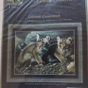 Kustom Krafts Counted Cross Stitch books, Designs by Dyan Allaire, Deadstock