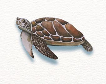 Impressão artística de tartaruga em aquarela: Arte de parede com tema da vida marinha, decoração oceânica tranquila (A4, A5)