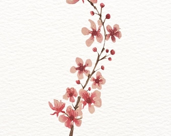 Impressão em aquarela de flor de cerejeira, arte de parede floral suave de primavera (A4, A5)