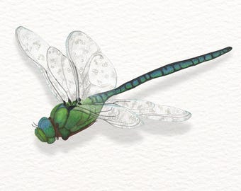 Impressão artística em aquarela de libélula: Arte de parede com elementos da natureza, decoração tranquila com vida selvagem (A4/A5 sem moldura)