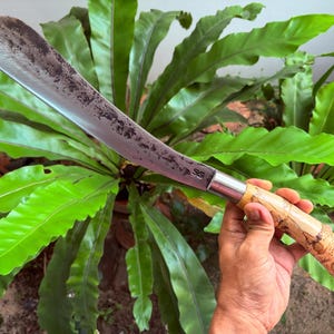 May include: A large, curved blade knife with a wooden handle. The blade has a dark, textured appearance, and the handle is light-coloured with a decorative pattern. The knife is held in front of lush green foliage.