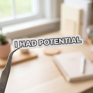 I Had Potential Funny Quote Sticker, Humorous Unisex Vinyl Decal, Waterproof Laptop Water Bottle Sticker, Sarcastic Gift for Friends