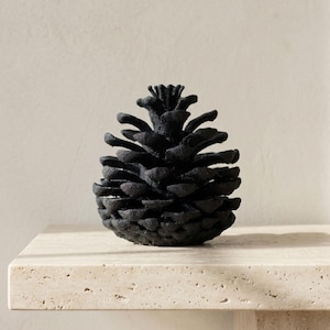 May include: A matte black pinecone with a textured, granular surface. The pinecone features a symmetrical, layered structure with individual scales radiating from the centre, creating a dense, conical shape with a pointed top and a rounded base.