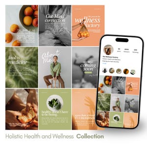 Op de afbeelding: Een verzameling Instagram-berichten die holistische gezondheid en welzijn promoten. De berichten bevatten afbeeldingen van fruit, groenten en mensen, met tekst als "Gut-Mind connection" en "food is medicine". Een smartphone toont het Wellness Factory profiel.