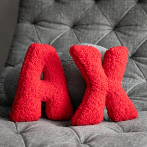 以下が含まれることがあります： グレーの房付き椅子に「AX」と書かれた赤い豪華な文字の枕。文字は、質感のあるふわふわした素材で作られています。文字の後ろには灰色の丸い枕があります。背景は灰色の椅子です。