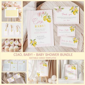 May include: A baby shower stationery bundle featuring a lemon and pink floral theme with striped backgrounds. The set includes invitations, thank you cards, diaper raffle tickets, book request cards, game sheets, cupcake toppers, and signage templates.