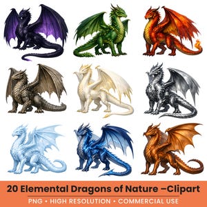 May include: A collection of nine detailed dragon illustrations in various colors, including black with purple wings, green, red, brown, white, silver, light blue, dark blue with lightning, and orange. The text reads "20 Elemental Dragons of Nature - Clipart".
