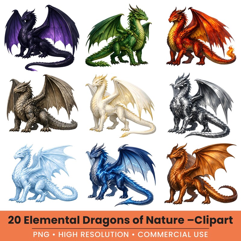 Elemental Dragon Drawing - Etsy