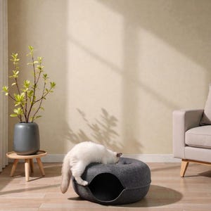 May include: A gray cat bed with a circular design and a rounded opening. A white cat is resting on top of the bed. The bed is made of a soft, felt-like material. A small, wooden side table with a gray vase and green plant is in the background.
