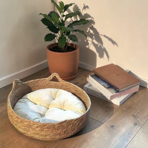 以下が含まれることがあります： 耳の形をしたハンドルとクリーム色のクッションが付いた、織り込まれた天然繊維で作られた丸い猫用ベッド。 ベッドは木の床に置かれています。 植木鉢と本の山が背景にあります。