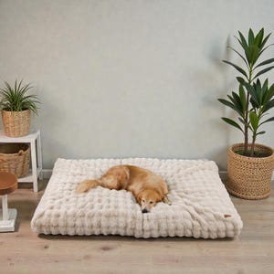 Könnte beinhalten: Ein goldener Retriever liegt auf einem großen, rechteckigen, cremefarbenen Hundebett. Das Bett hat eine strukturierte, plüschige Oberfläche. Der Hund liegt entspannt auf dem Bett. Im Hintergrund sind Pflanzen in geflochtenen Körben.