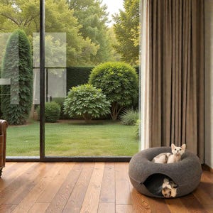 May include: A gray, donut-shaped pet bed with two small dogs inside. One dog is visible in the opening, and the other is resting on top. The bed is on a hardwood floor, with a large window and outdoor greenery in the background.