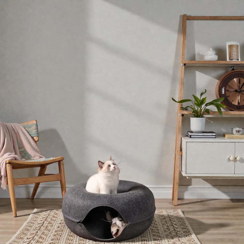 May include: A gray cat bed with a round shape and a zippered opening. Two cats are inside the bed, one looking up from the top and the other peeking out from the opening. The bed is on a patterned rug.
