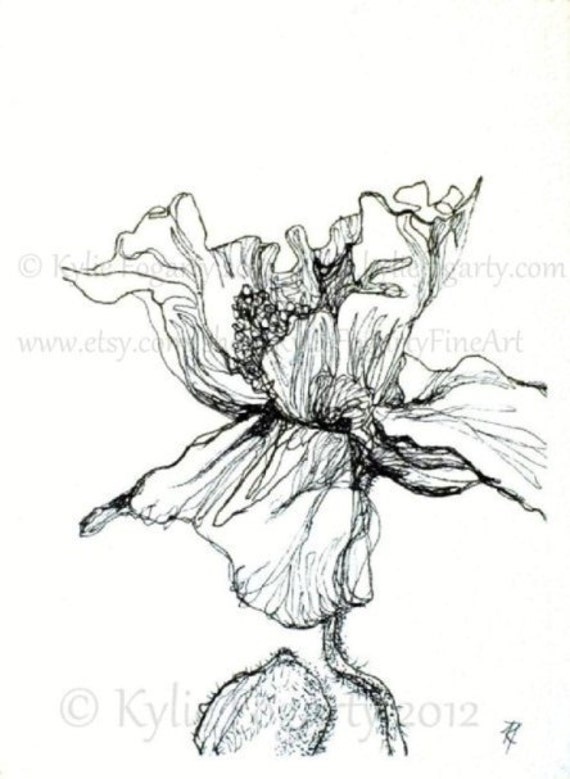 Bianco E Nero Fiore Papavero Aperto Disegno Aceo Stampa Darte Fiore Del Papavero Studio 3 Matrimonio Grazie Regalo