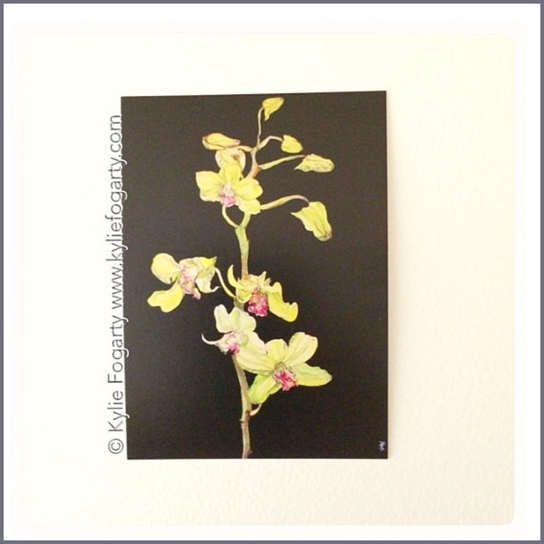 Green Cymbidium Orchid  ACEO Kylie Fogarty Art Green Orchid Flowers Orchid Flowers Fine Art Print ACEO PRINT Collectable Art