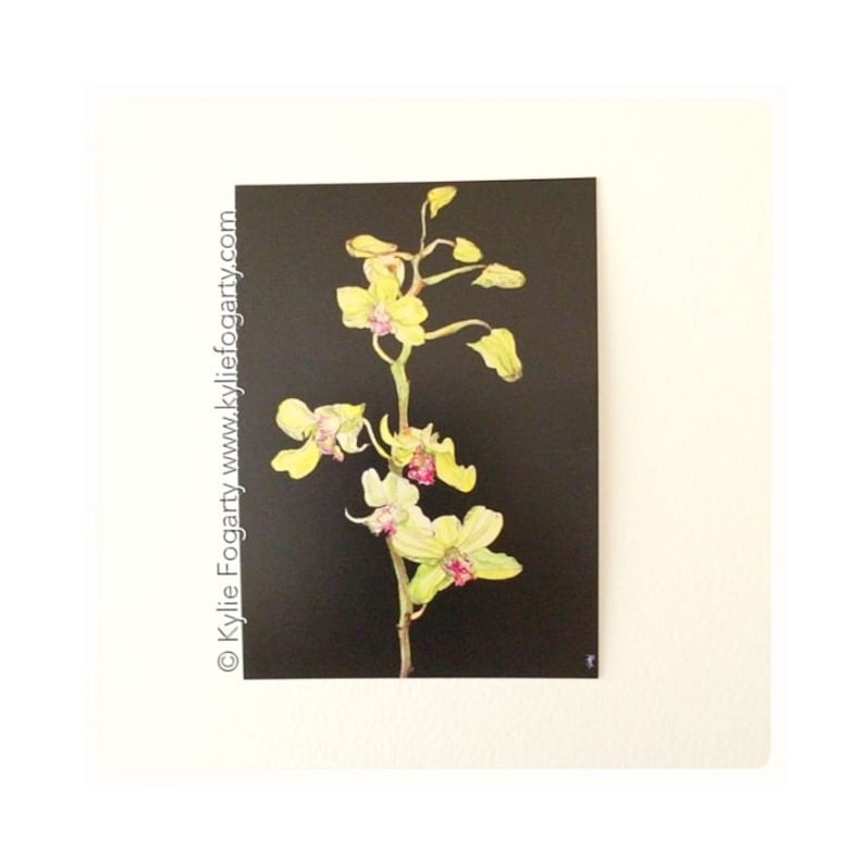 Green Cymbidium Orchid ACEO Kylie Fogarty Art Green Orchid Flowers Orchid Flowers Fine Art Print ACEO PRINT Collectable Art