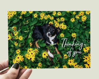 Set of 10 Postcards - Australian Shepherd Puppy - Floral Puppy Postcards - Thinking Of You Postcards - Happy Mail - Aussie Dog Lover Mail