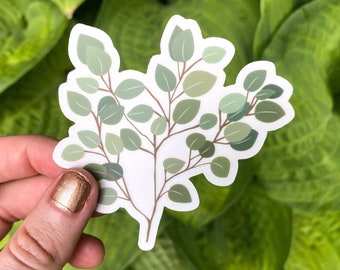 3 Pack Eucalyptus Branch Clear Vinyl Sticker - Plant Decal - Eucalyptus Leaves Car Decal - Friend Gift - Plant Lover Gift - Plant Sticker