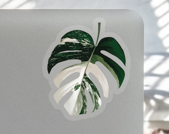 3 Pack Variegated Monstera Albo Borsigiana Clear Sticker - Rare Variegated Leaf Pattern - Exotic Plant Laptop Clear Decal - Monstera Decal