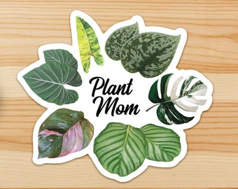 3 Pack Plant Mom Vinyl Sticker - Green Thumb Gift - Friend Gift - Plants Decal - Plant Lover Gift - Plants Vinyl Decal - Rare Plants Sticker