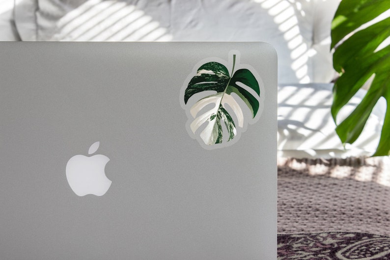 Variegated Monstera Albo Borsigiana Clear Sticker - Rare Variegated Leaf Pattern - Exotic Plant Laptop Clear Decal - Monstera Clear Decal 