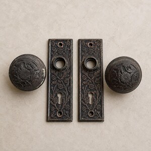 Antique 1900s Victorian Floral Swirl Door Knobs & Backplates Ornate Patina Charm