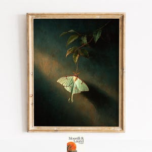 May include: A framed print featuring a Luna moth with pale green wings, suspended from a leafy branch against a dark teal background. The moth's wings display intricate patterns. The frame is a light, natural wood color. The artwork is signed by Moonlit & Laurel Designs.