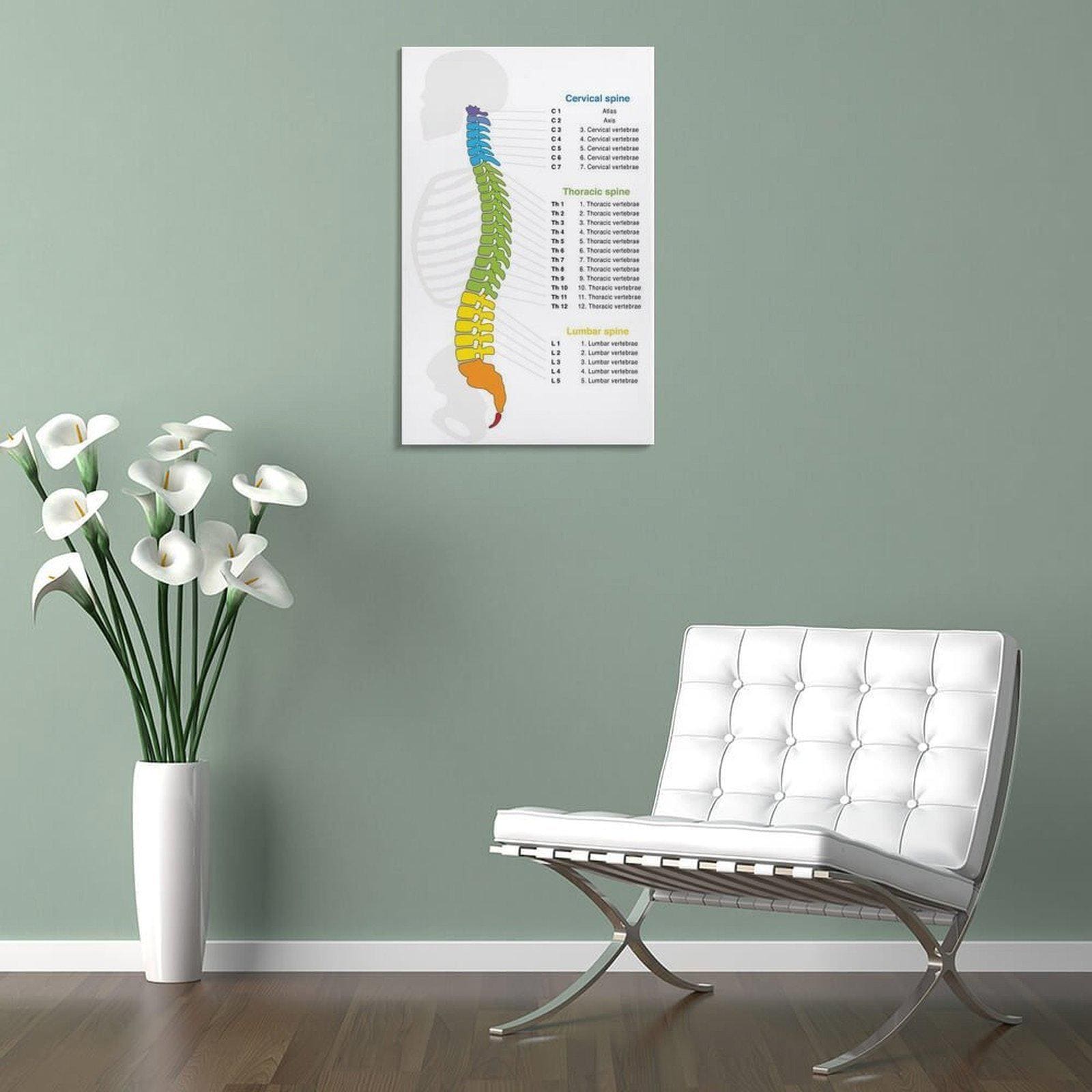 Human Spine Structure Canvas Print, Anatomy Art, Medical Decor - Etsy
