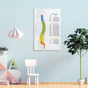 Human Spine Structure Canvas Print, Anatomy Art, Medical Decor - Etsy