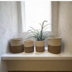 May include: Four cylindrical woven baskets featuring a two-tone design with a natural cream-coloured upper section and a darker brown base. One of the baskets contains a green plant with long, thin, pointed leaves, positioned in the centre.