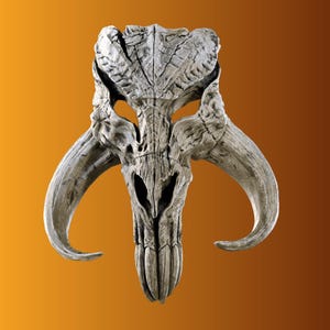 May include: A detailed, weathered, grey skull with large curved horns. The skull has a textured surface with visible cracks and crevices, set against an orange gradient background. The design is reminiscent of a fantasy creature.