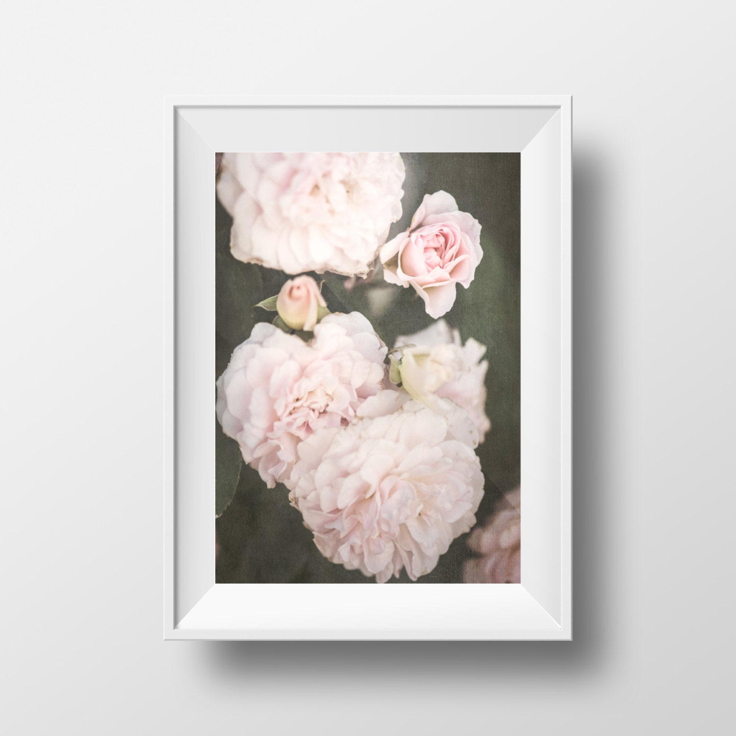 Pink Soft Roses June Summer Flowers Floral Print Fine | Etsy