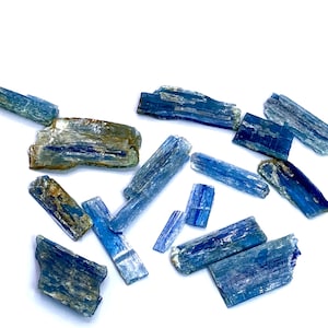 Op de afbeelding: Een verzameling ruwe kyanietkristallen in blauwe en groene tinten, verspreid op een witte ondergrond. De kristallen variëren in grootte en vorm, met een ruwe, natuurlijke textuur. De belichting benadrukt de kleur en vorm van het mineraal.