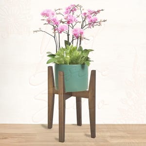 May include: A potted orchid plant with vibrant pink flowers and green succulent leaves, housed in a solid teal cylindrical planter. The planter is supported by a dark brown wooden stand featuring four vertical legs and a cross-brace structure.