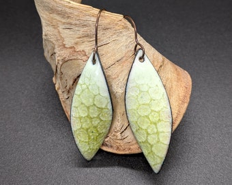 May include: A pair of leaf-shaped earrings with a light green, textured pattern and black trim. The earrings are suspended from copper-colored ear wires. The earrings are displayed on a piece of driftwood against a dark background.
