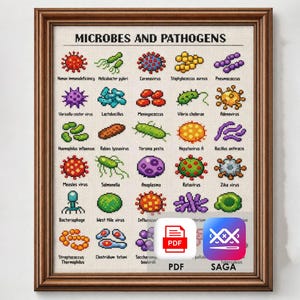 May include: A framed cross-stitch sampler titled "MICROBES AND PATHOGENS" featuring various colorful illustrations of viruses and bacteria, including Coronavirus and Measles virus. The sampler is in a wooden frame.