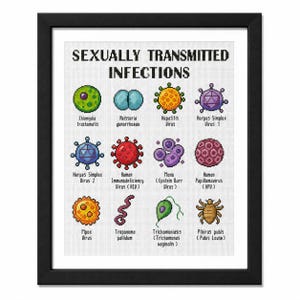 Op de afbeelding: Een ingelijst kruissteekpatroon getiteld SEXUALLY TRANSMITTED INFECTIONS, met twaalf kleurrijke pixel-art illustraties van diverse ziekteverwekkers, elk gelabeld met de wetenschappelijke naam, waaronder Chlamydia, HIV, HPV en andere.