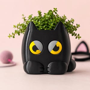 Peut inclure: Un pot de fleurs en forme de chat noir avec de grands yeux expressifs jaunes et gris. Le pot présente deux oreilles pointues et deux pattes avant reposant à la base. Une petite plante verte feuillue pousse au sommet du récipient chat.