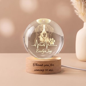 Veilleuse boule de cristal personnalisée, cadeau commémoratif pour animal de compagnie, nom et date gravés, lampe souvenir photo pour chien ou chat, cadeau pour amoureux des chiens