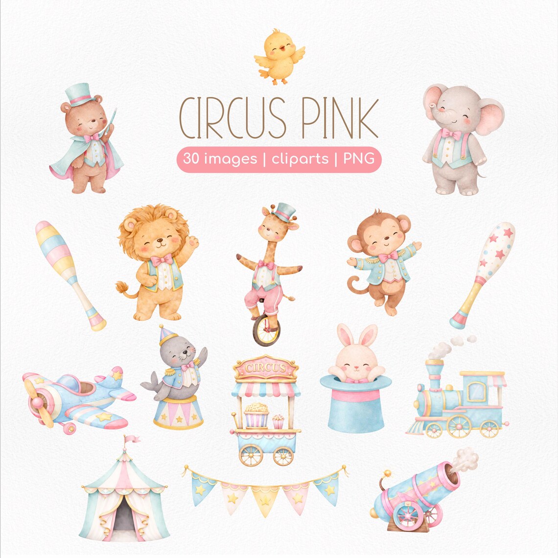 Circus Pink Clipart PNG Bundle – Cute Watercolor Circus Animals, Baby ...