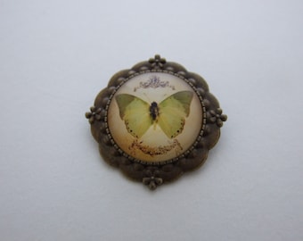 May include: A bronze-colored brooch with a round, glass cabochon featuring a green butterfly with brown markings. The cabochon is surrounded by a decorative border with floral motifs.