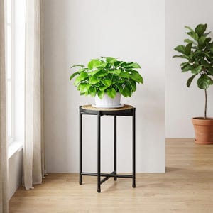 May include: A potted plant with vibrant green leaves sits atop a black metal plant stand. The plant is in a white pot with a matching saucer. The stand has a round top with a woven texture and a simple, geometric design.