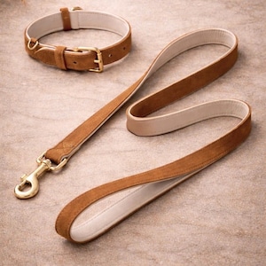 May include: A brown suede dog collar and lead set. The collar has a gold-coloured buckle, and the lead has a matching gold-coloured clasp. The interior of the collar and lead is cream-coloured.