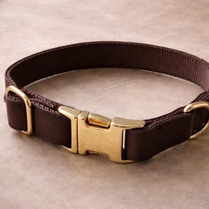 Brunt hundhalsband Guldspänne Neutralt hundhalsband Lyxiga hundtillbehör Justerbart hundhalsband Modernt hundhalsband