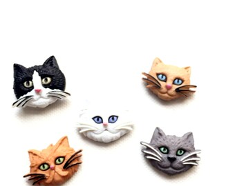 cat fridge magnets etsy