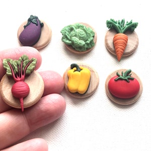 Veggie Magnets, Fridge, Vegetables, Teacher's Aide Magnets, Bell Pepper, Radish, Lettuce, Carrot, Tomato, Eggplant