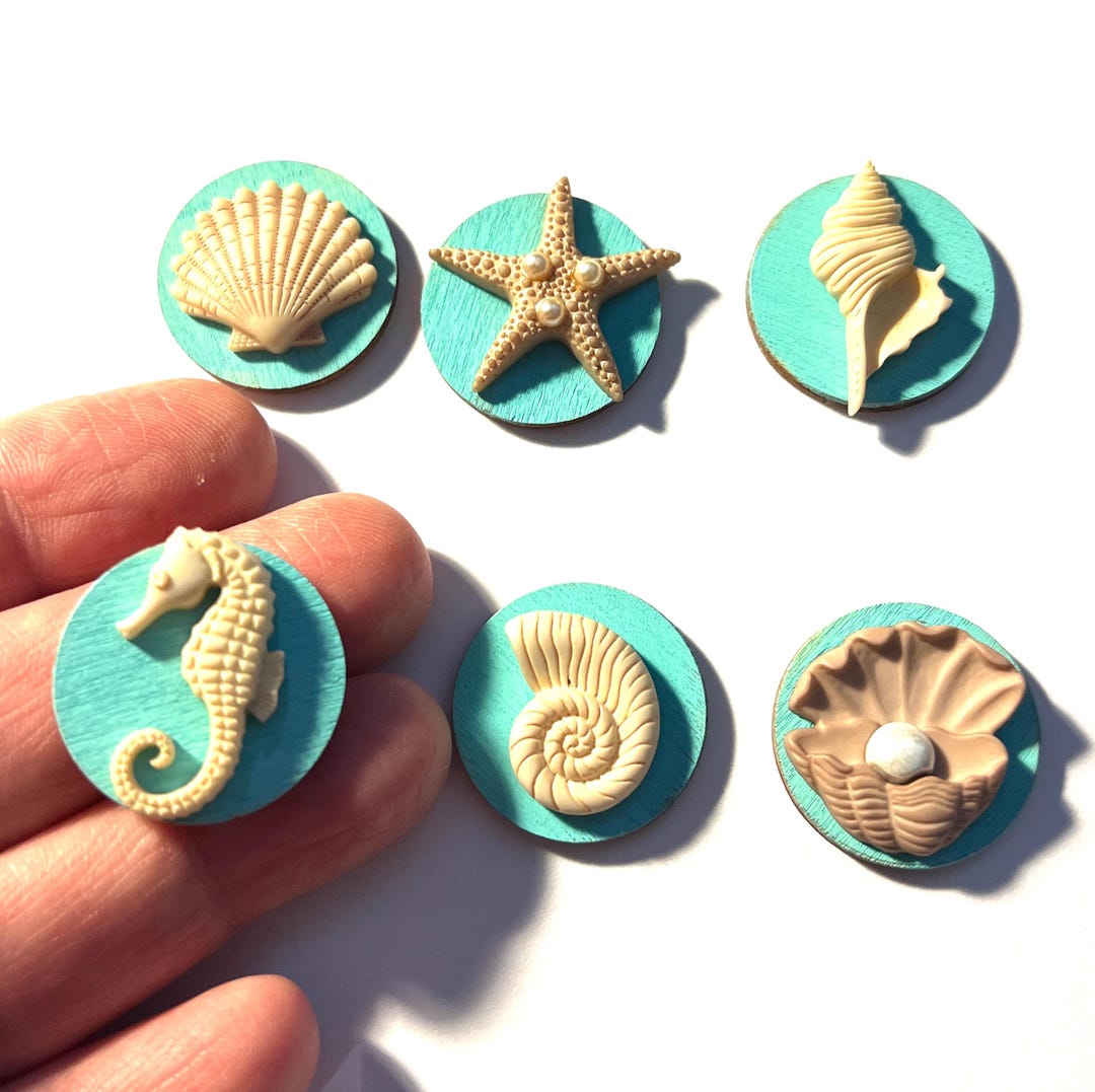 Seashell Fridge Magnets, Coastal Home Decor, Beach Theme, Pushpins - Etsy