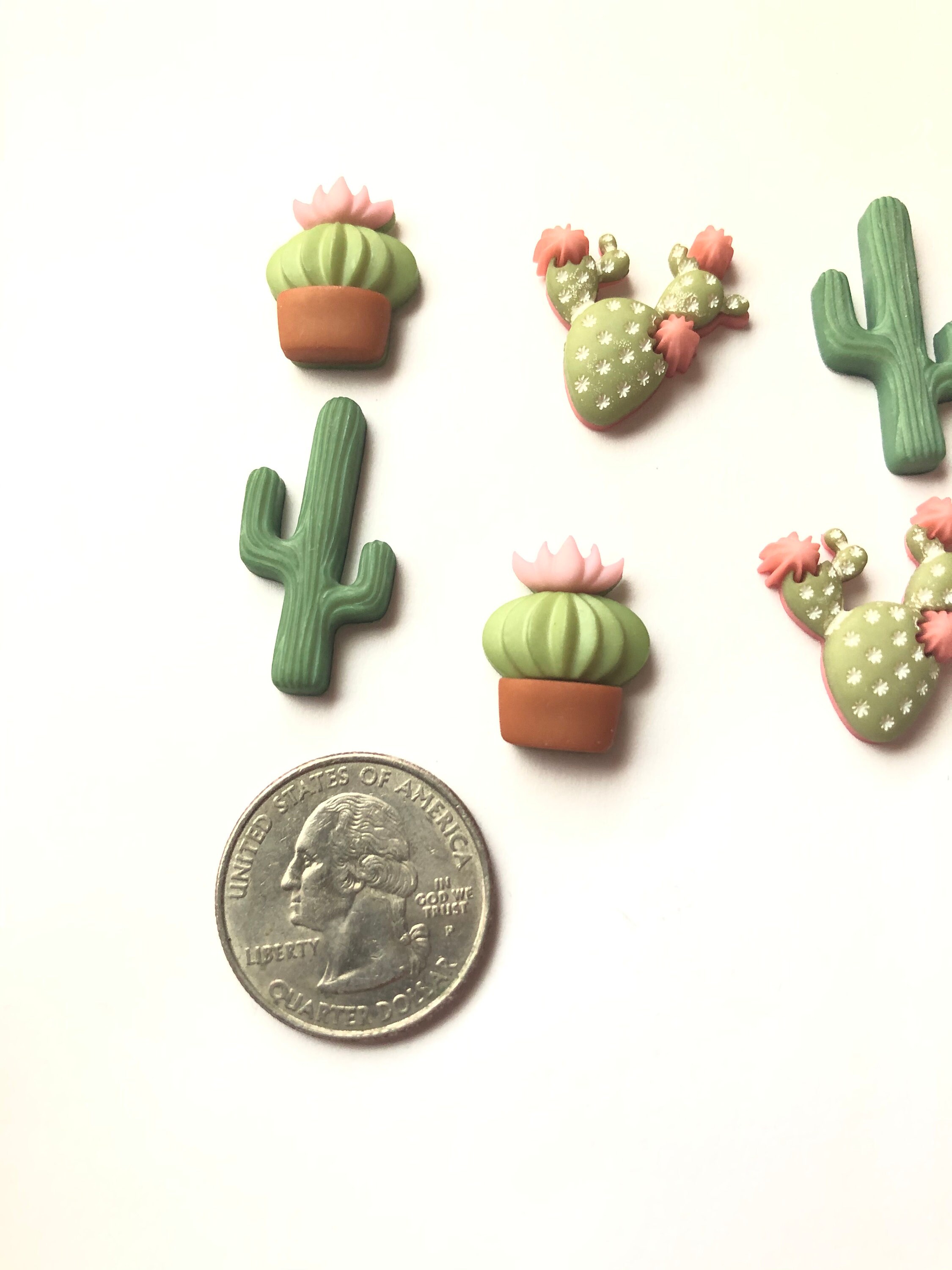 Cactus Desert Flower Plants Cacti Etsy