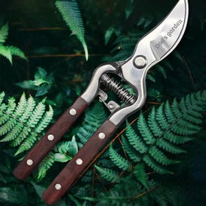 May include: Garden shears with a stainless steel blade and wooden handles. The blade is engraved with "Dad's garden". The handles are dark brown with silver rivets. The shears are set against a backdrop of green foliage. A gardening tool.